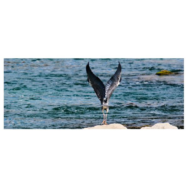 PHOTO84, CLUB, 84 , LUBERON